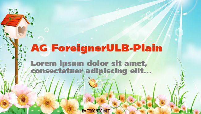 AG ForeignerULB-Plain example