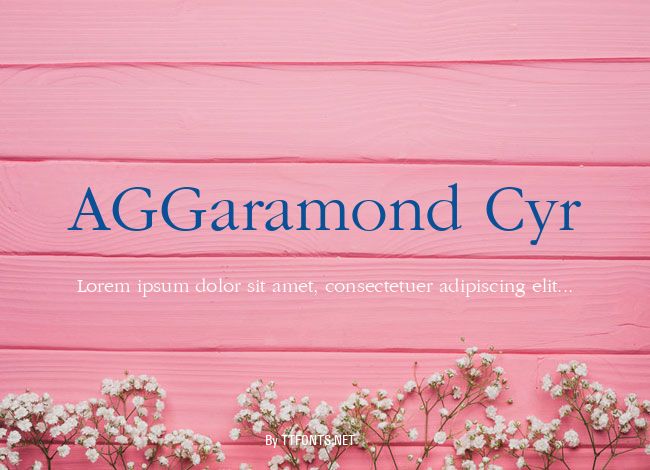 AGGaramond Cyr example