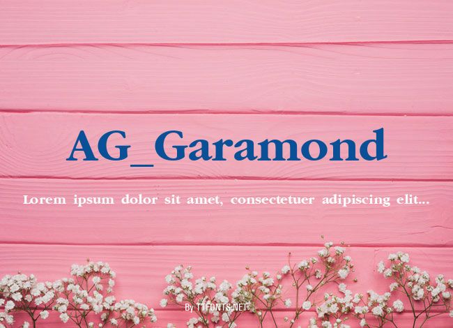 AG_Garamond example