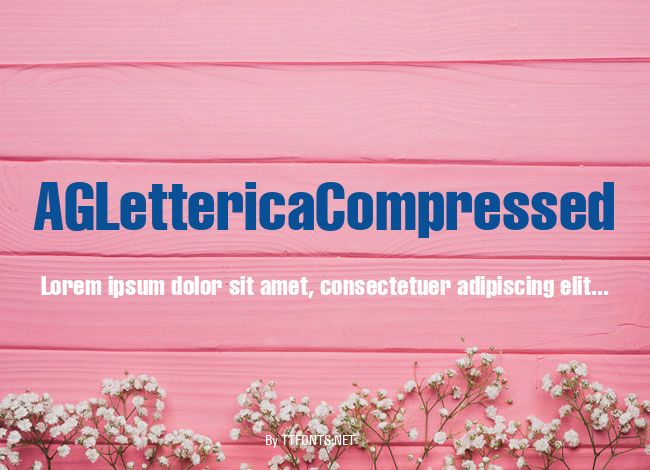 AGLettericaCompressed example
