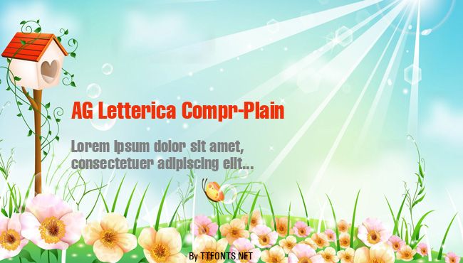 AG Letterica Compr-Plain example