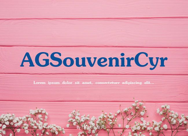AGSouvenirCyr example