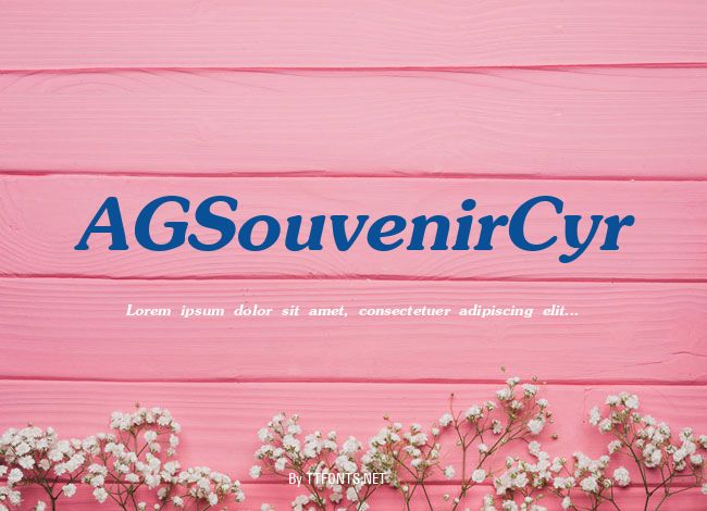 AGSouvenirCyr example