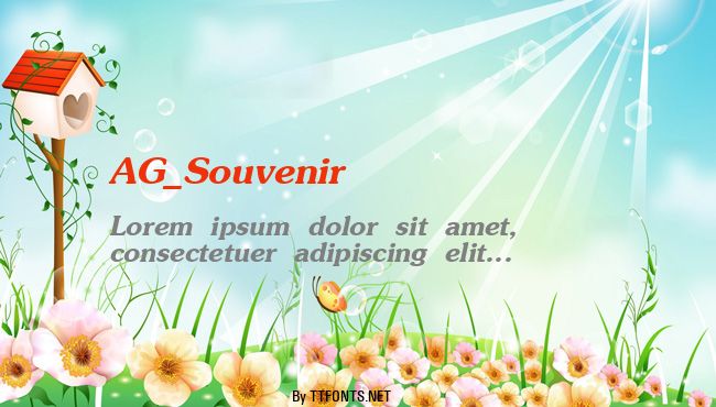 AG_Souvenir example
