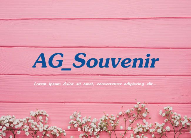 AG_Souvenir example