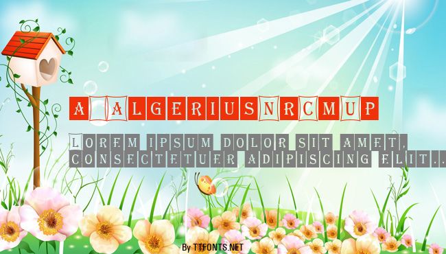 a_AlgeriusNrCmUp example