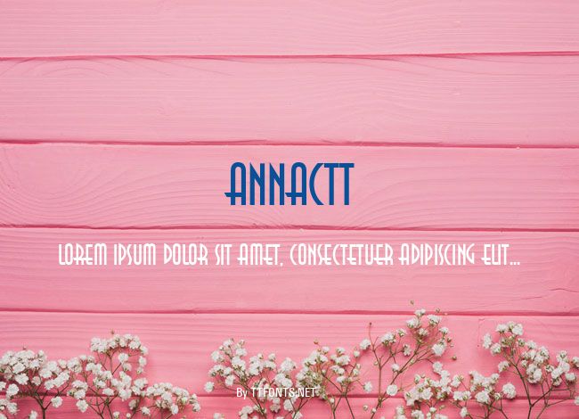 AnnaCTT example