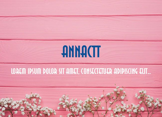 AnnaCTT example