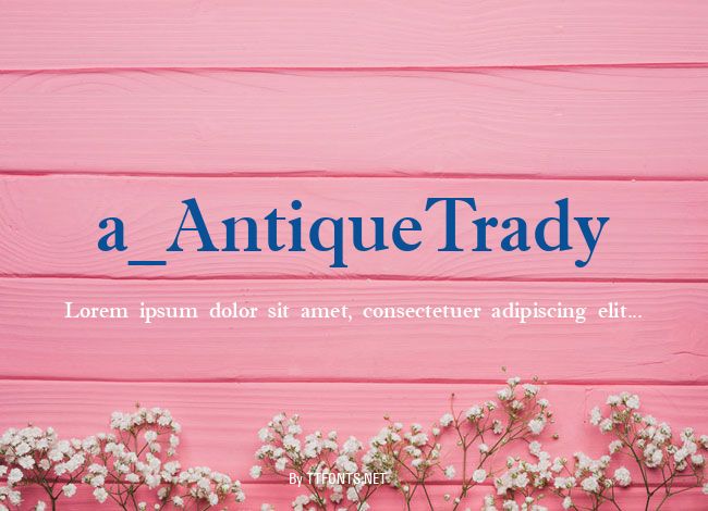 a_AntiqueTrady example