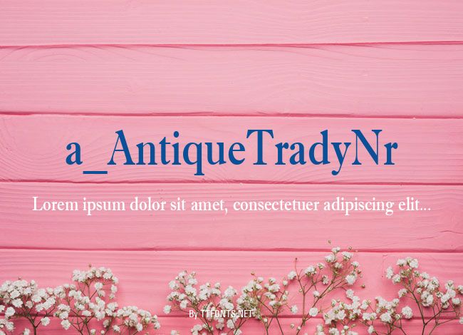 a_AntiqueTradyNr example