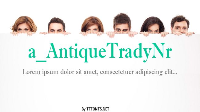 a_AntiqueTradyNr example