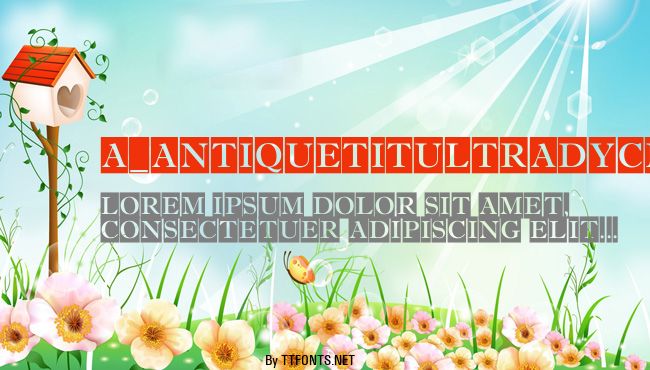 a_AntiqueTitulTradyCm example