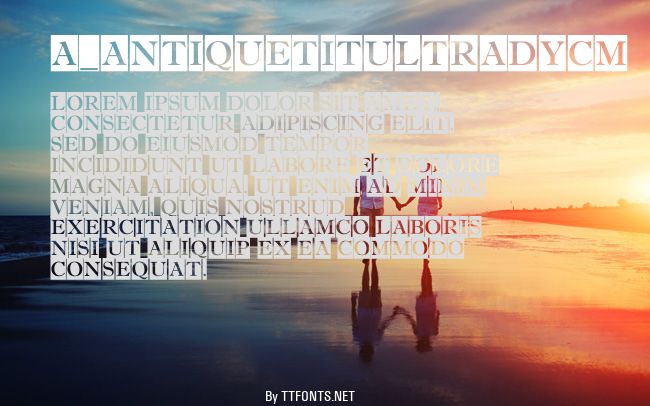 a_AntiqueTitulTradyCm example