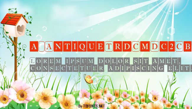 a_AntiqueTrdCmDc2Cb example