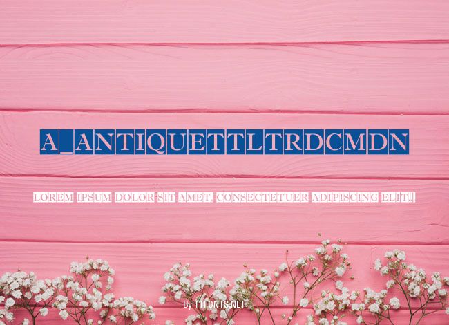 a_AntiqueTtlTrdCmDn example