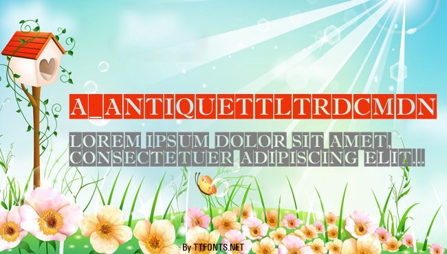 a_AntiqueTtlTrdCmDn example
