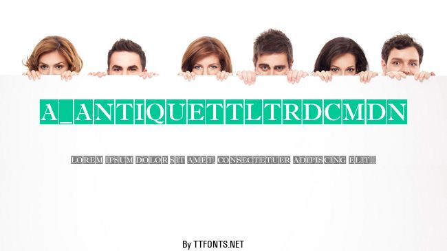 a_AntiqueTtlTrdCmDn example