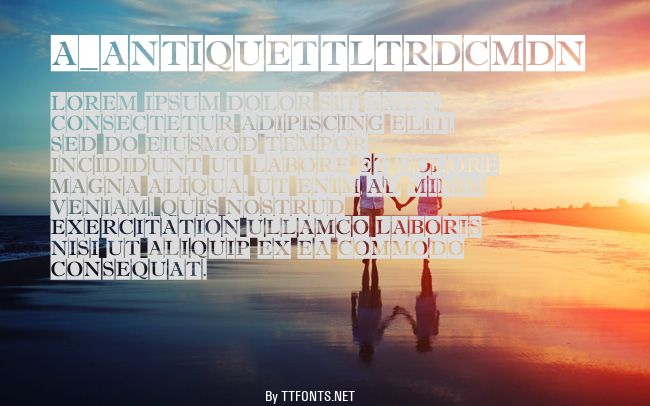 a_AntiqueTtlTrdCmDn example