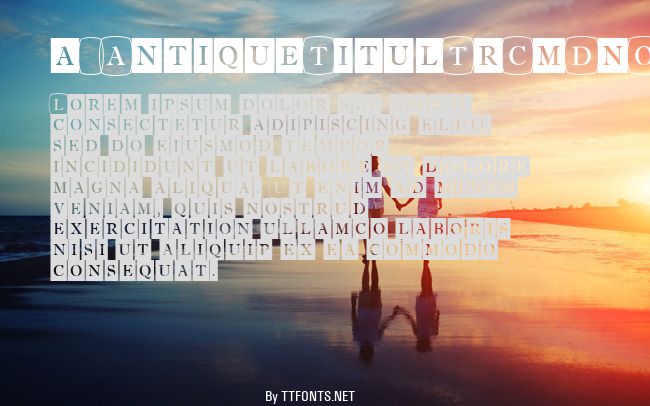 a_AntiqueTitulTrCmDnOtl example