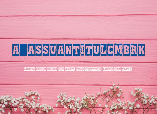 a_AssuanTitulCmBrk example