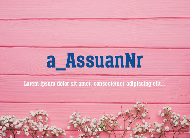 a_AssuanNr example