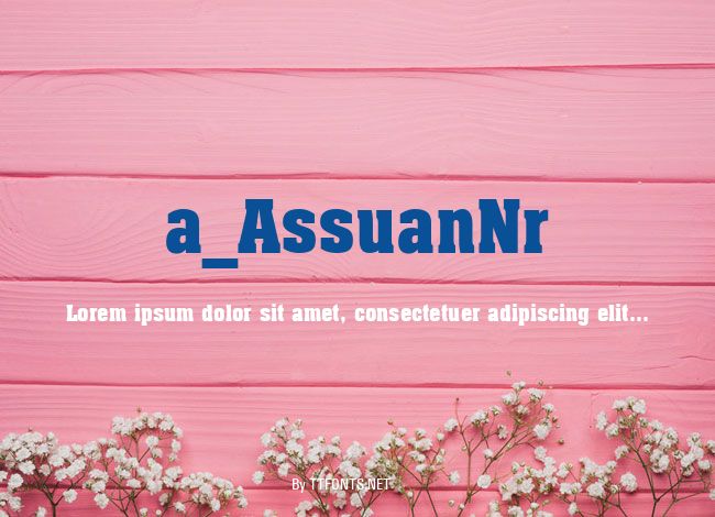 a_AssuanNr example