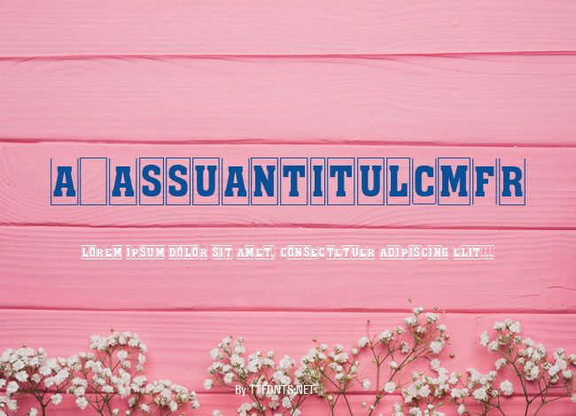 a_AssuanTitulCmFr example