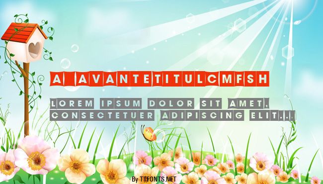 a_AvanteTitulCmFsh example