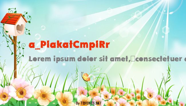 a_PlakatCmplRr&Bt example