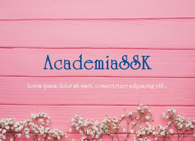 AcademiaSSK example