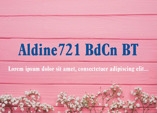 Aldine721 BdCn BT example