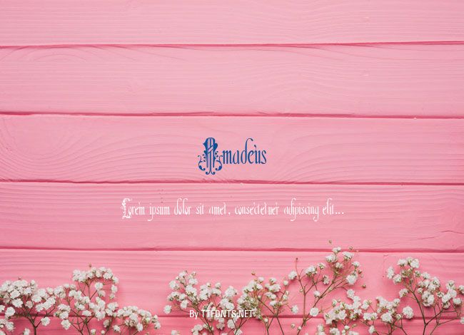 Amadeus example