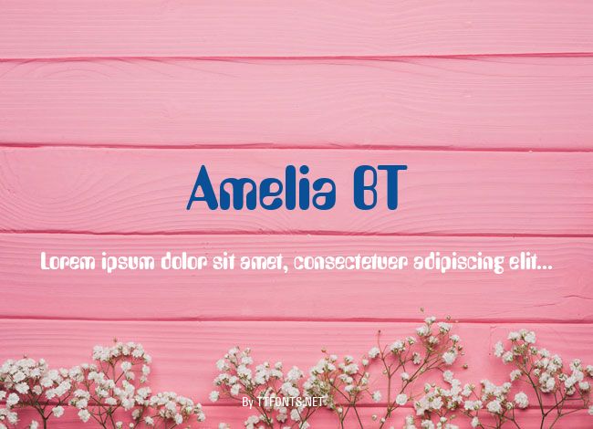 Amelia BT example