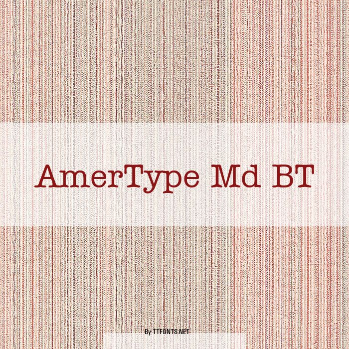 AmerType Md BT example