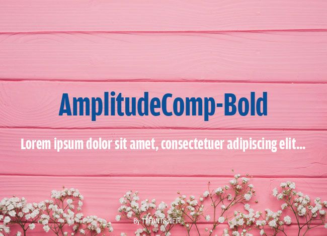 AmplitudeComp-Bold example