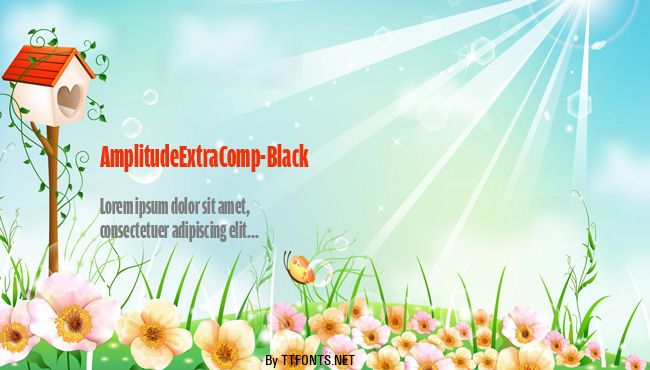 AmplitudeExtraComp-Black example