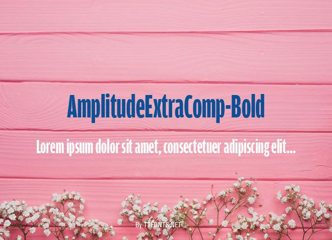 AmplitudeExtraComp-Bold example