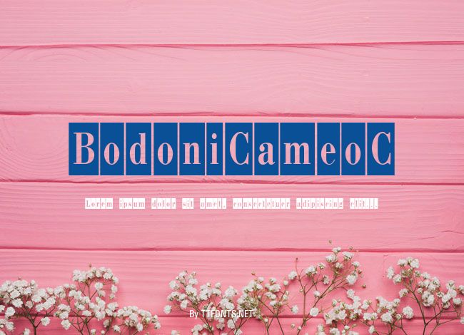 BodoniCameoC example