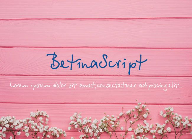 BetinaScript example
