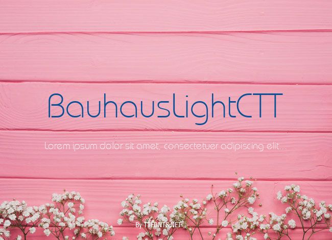 BauhausLightCTT example