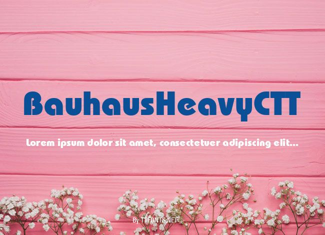 BauhausHeavyCTT example