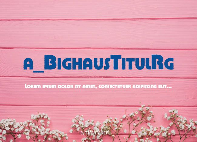a_BighausTitulRg example
