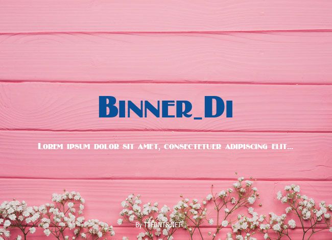 Binner_Di example