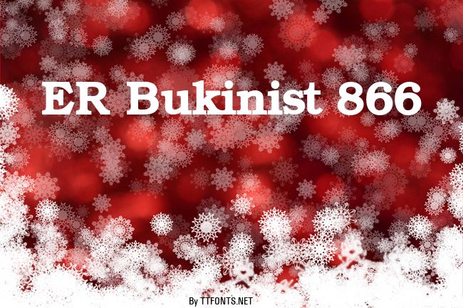 ER Bukinist 866 example