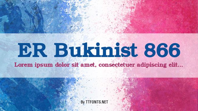 ER Bukinist 866 example