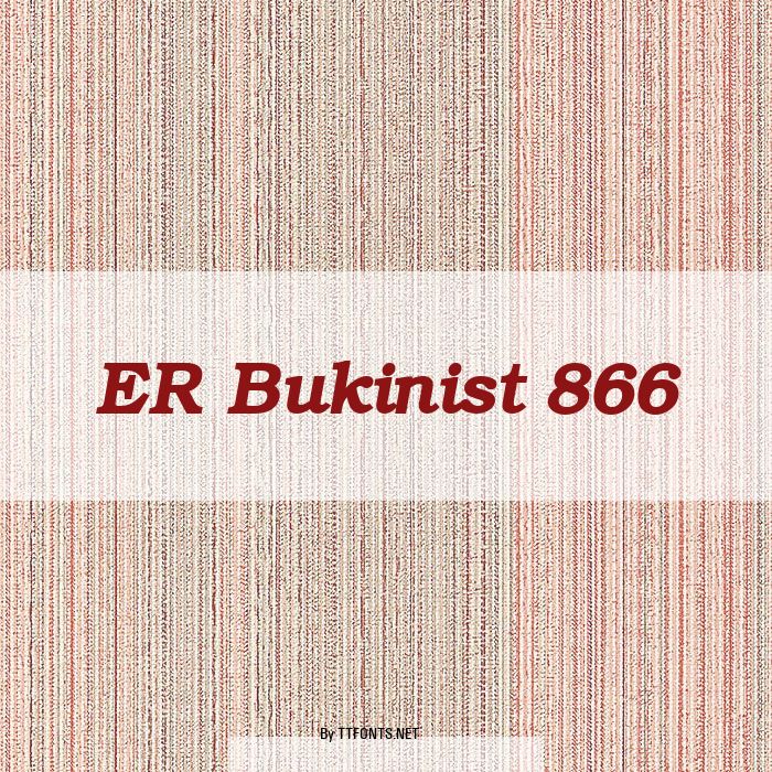 ER Bukinist 866 example