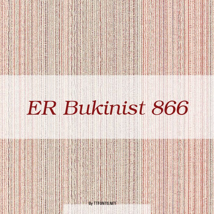 ER Bukinist 866 example