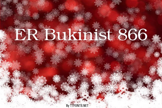 ER Bukinist 866 example