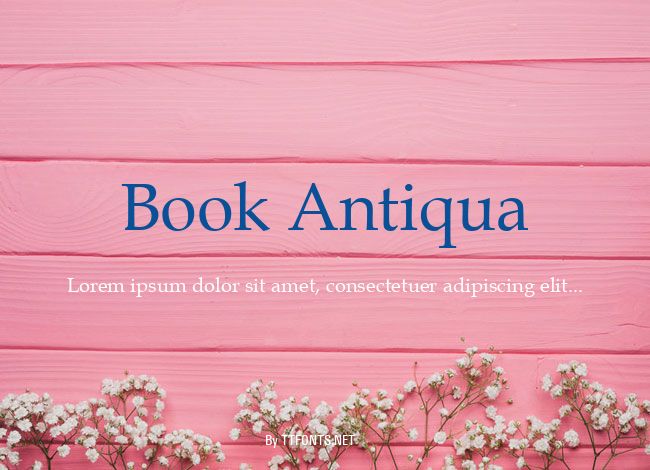 Book Antiqua example