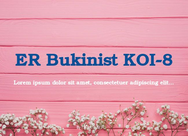 ER Bukinist KOI-8 example